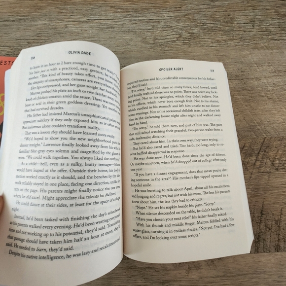 Romance Book Bundle Spoiler Alert & The Spanish Love Deception - Picture 6 of 10